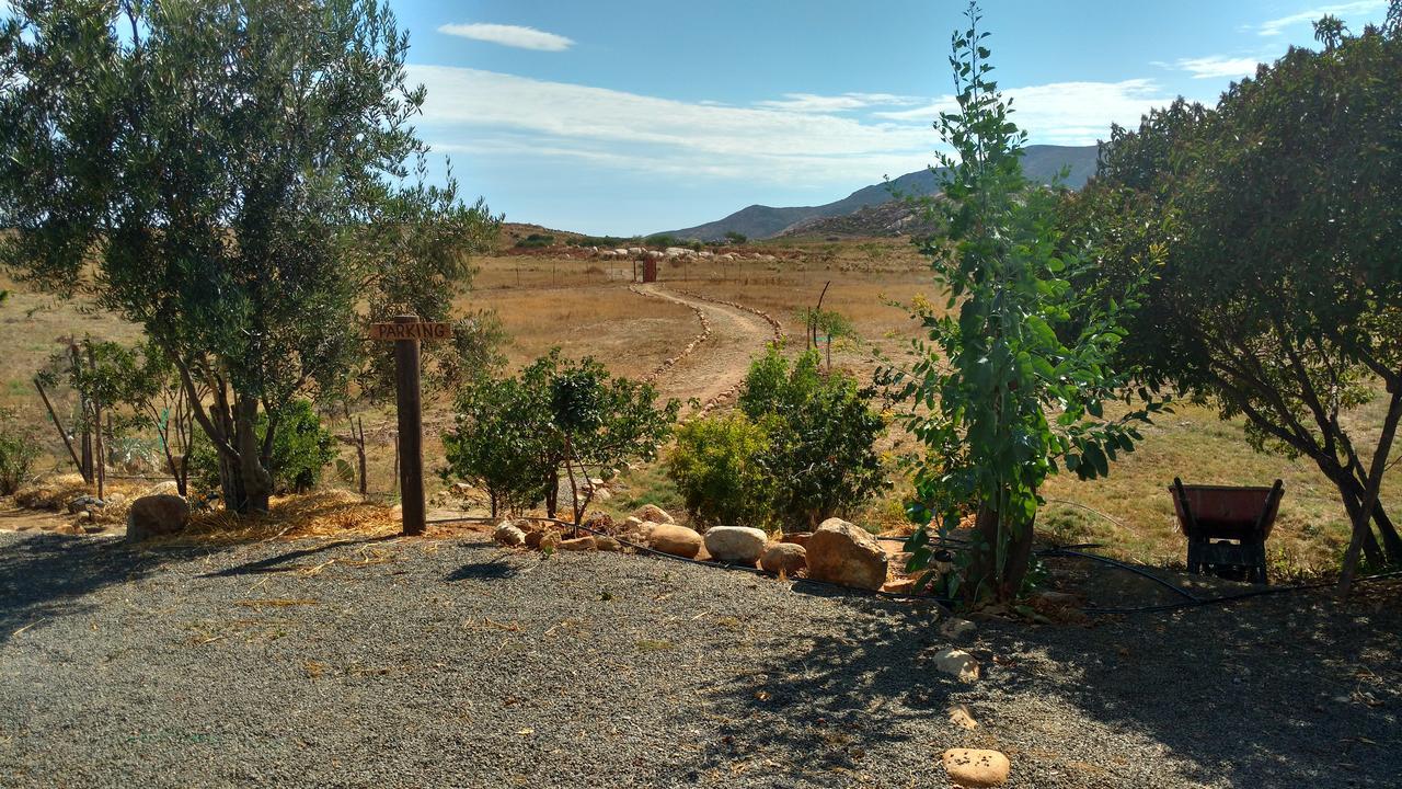 Vinofilia Wine Country Inn Valle de Guadalupe Bagian luar foto